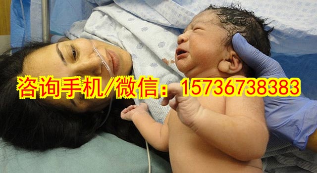 宁波助孕设备维修租赁