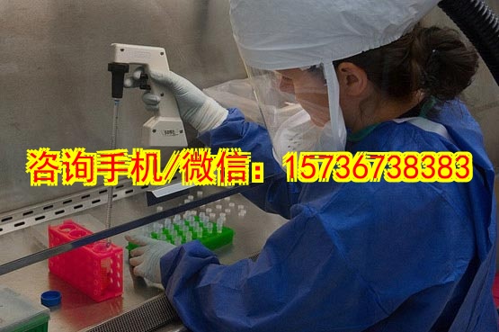 宁波代妈工程机械